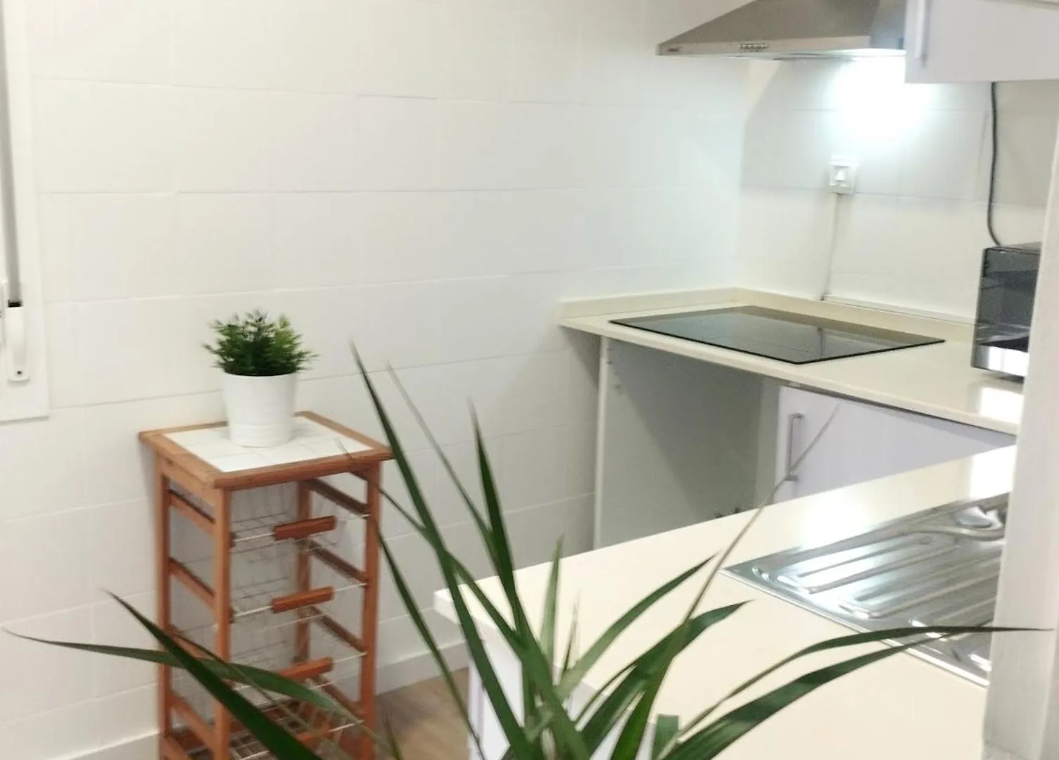 Apartment Coqueto Apartamento Palacio De Congresos Malaga Spain